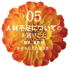 05 人材不足についてのお困りごと（農家、事務所、ホテルなどの皆さま）